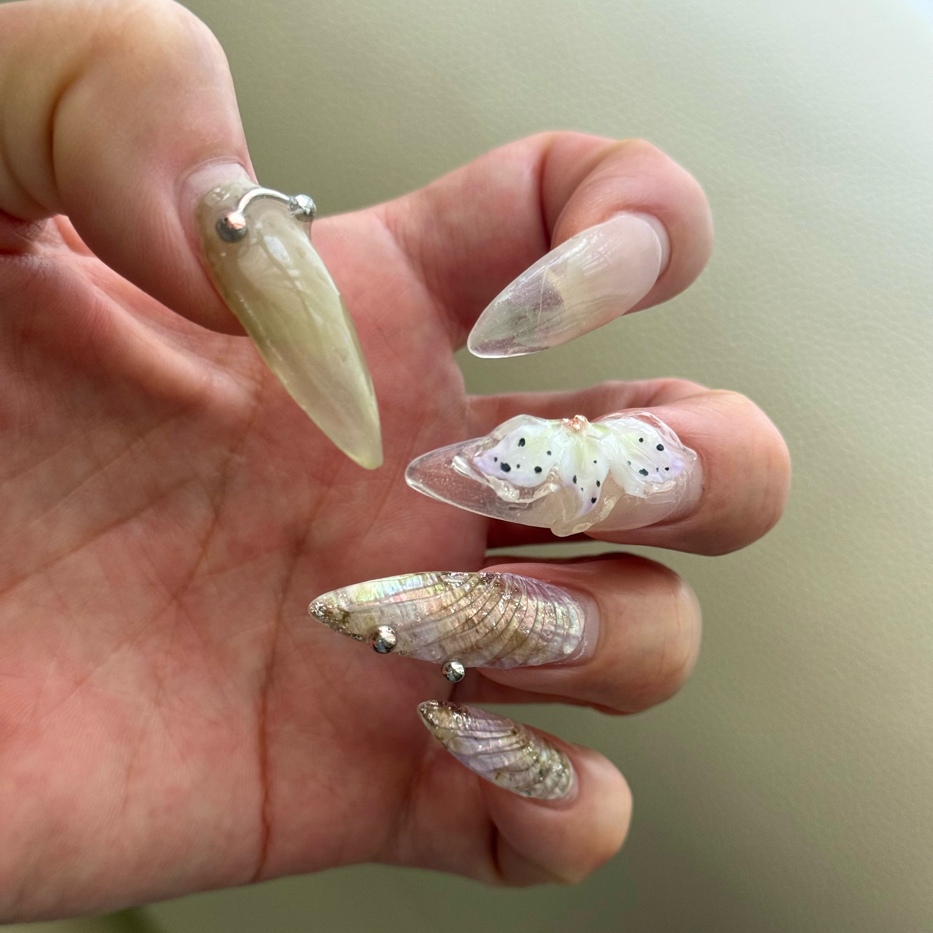 nail.funz