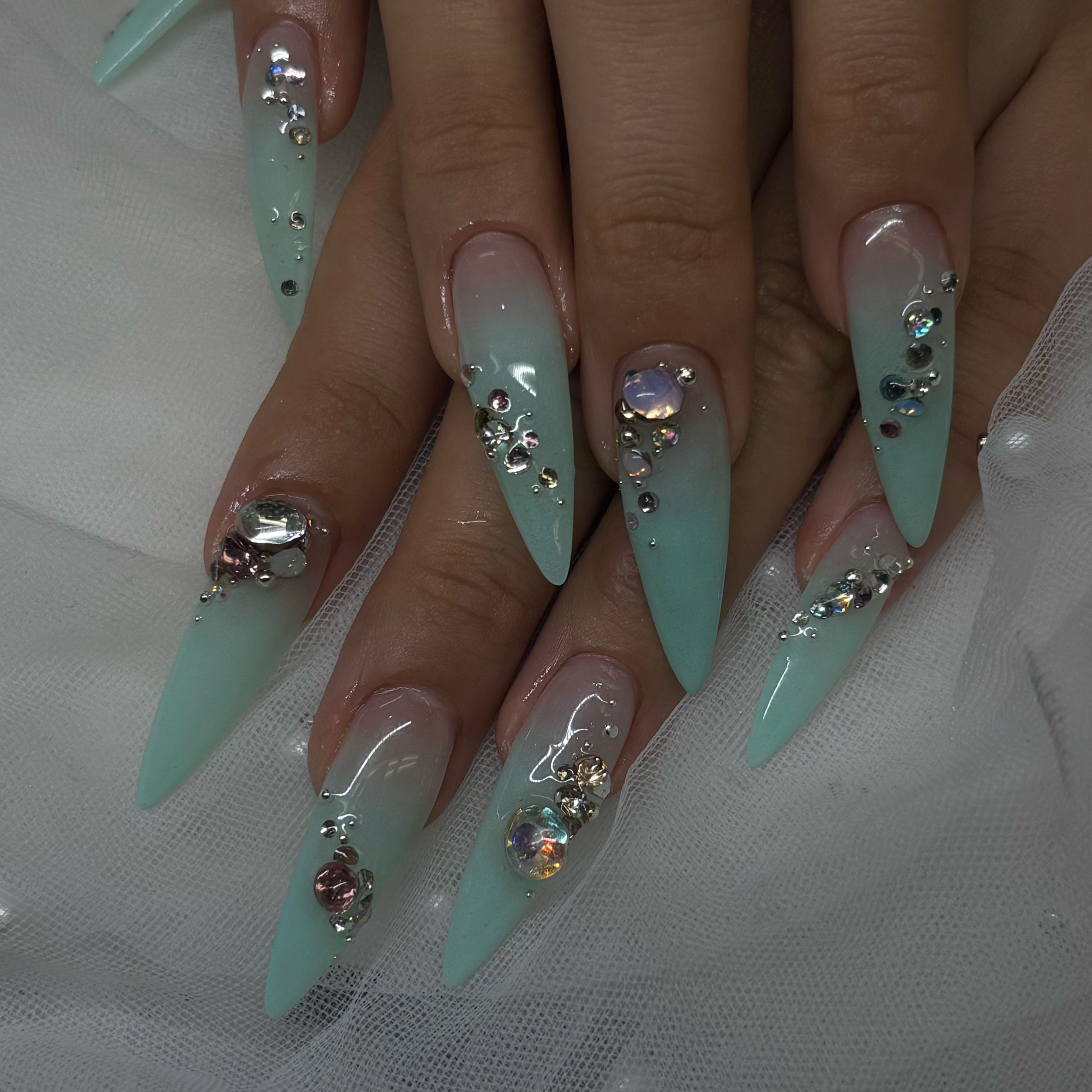 AnynailRamu