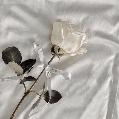 【当店オフのみ】