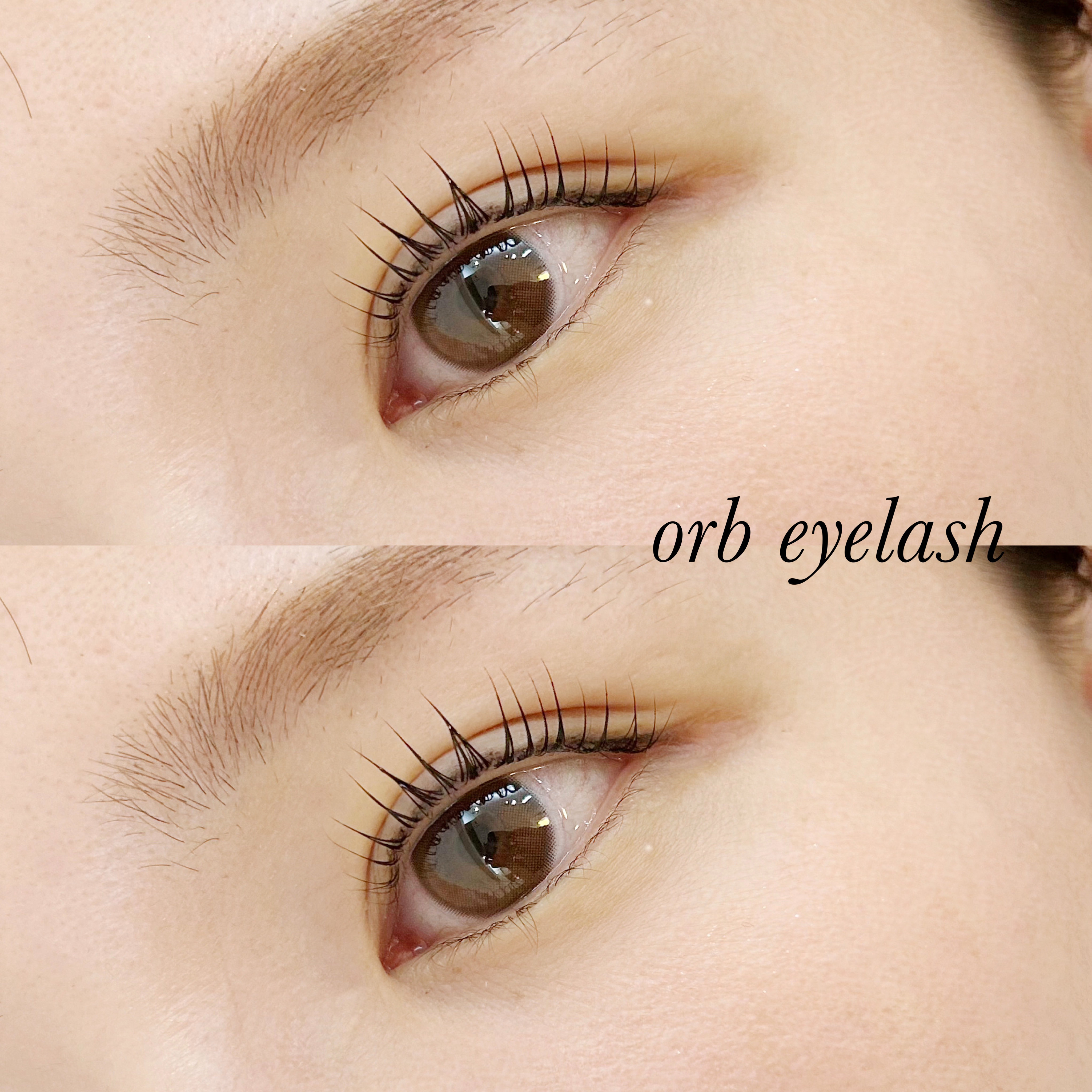 orb_eyelash