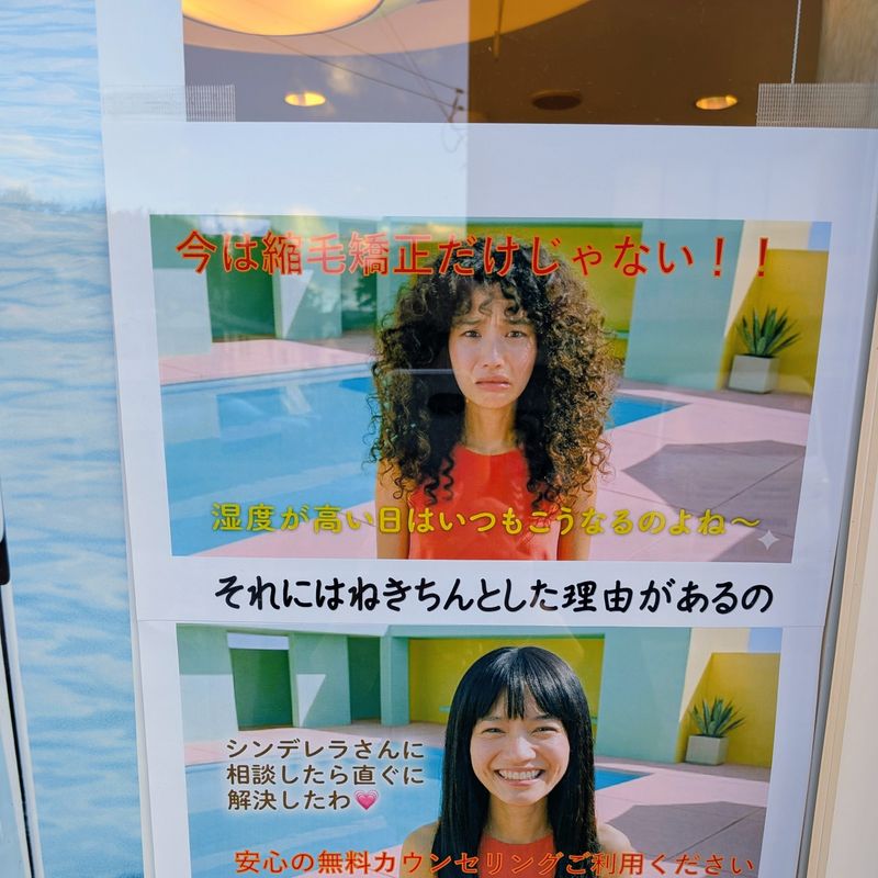 ニューヘアイメージ シンデレラ