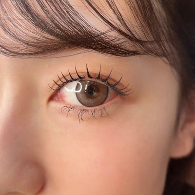 フラットラッシュ120本