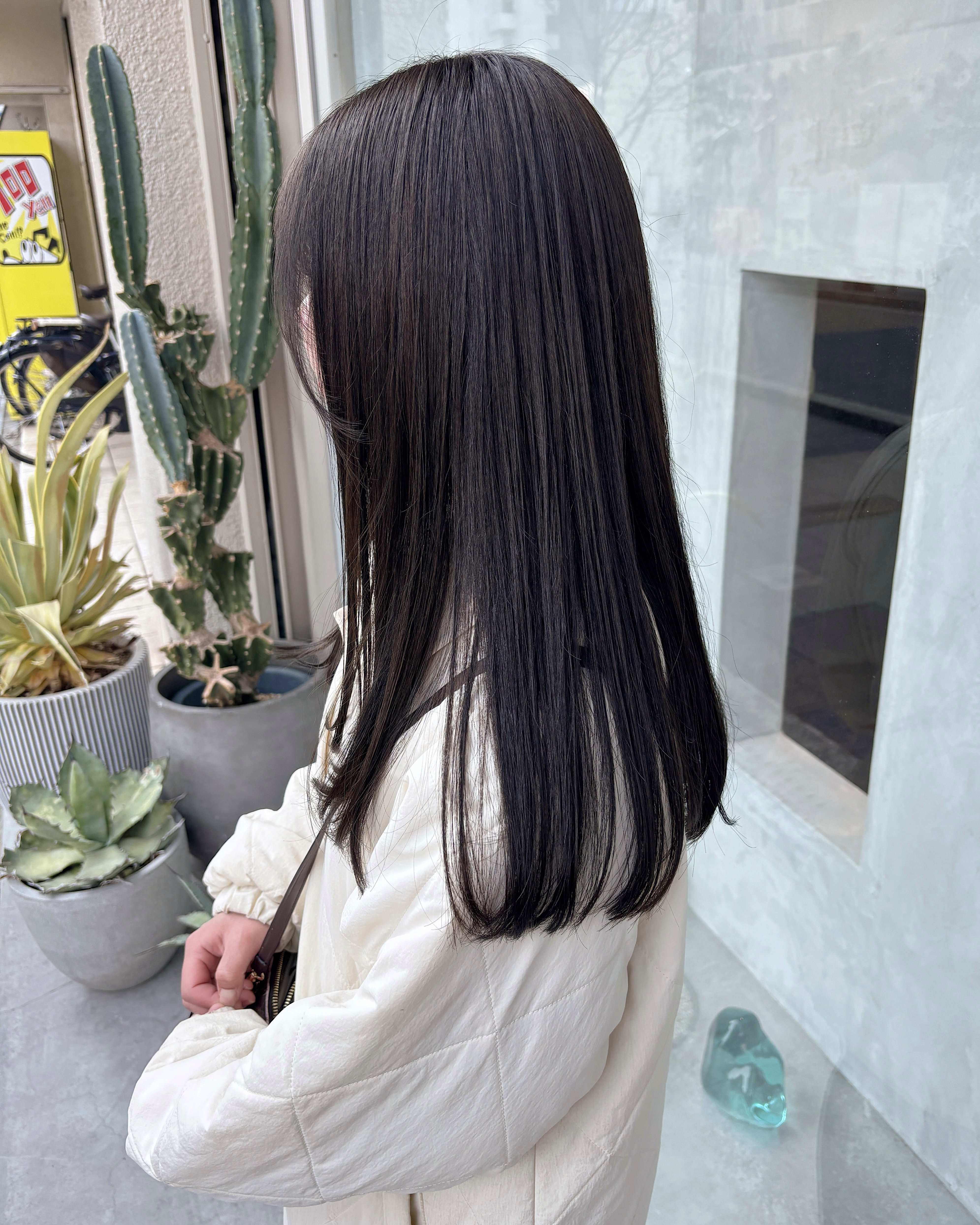 solas_miku8