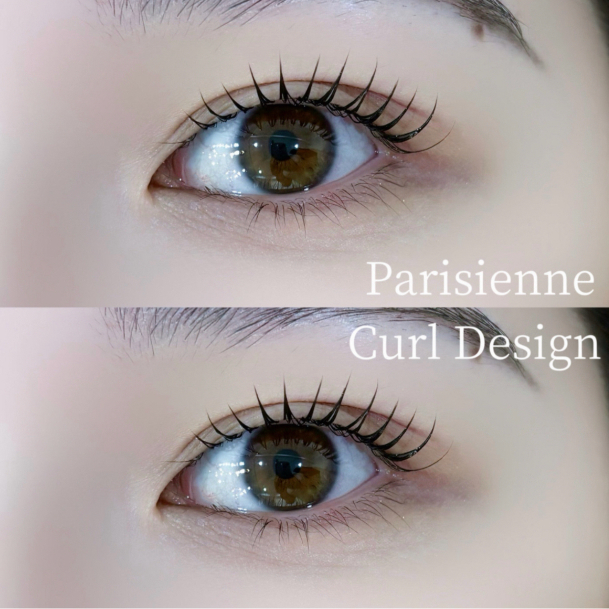 Shizuku_trueye
