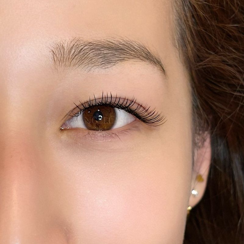 ANGELLASH 