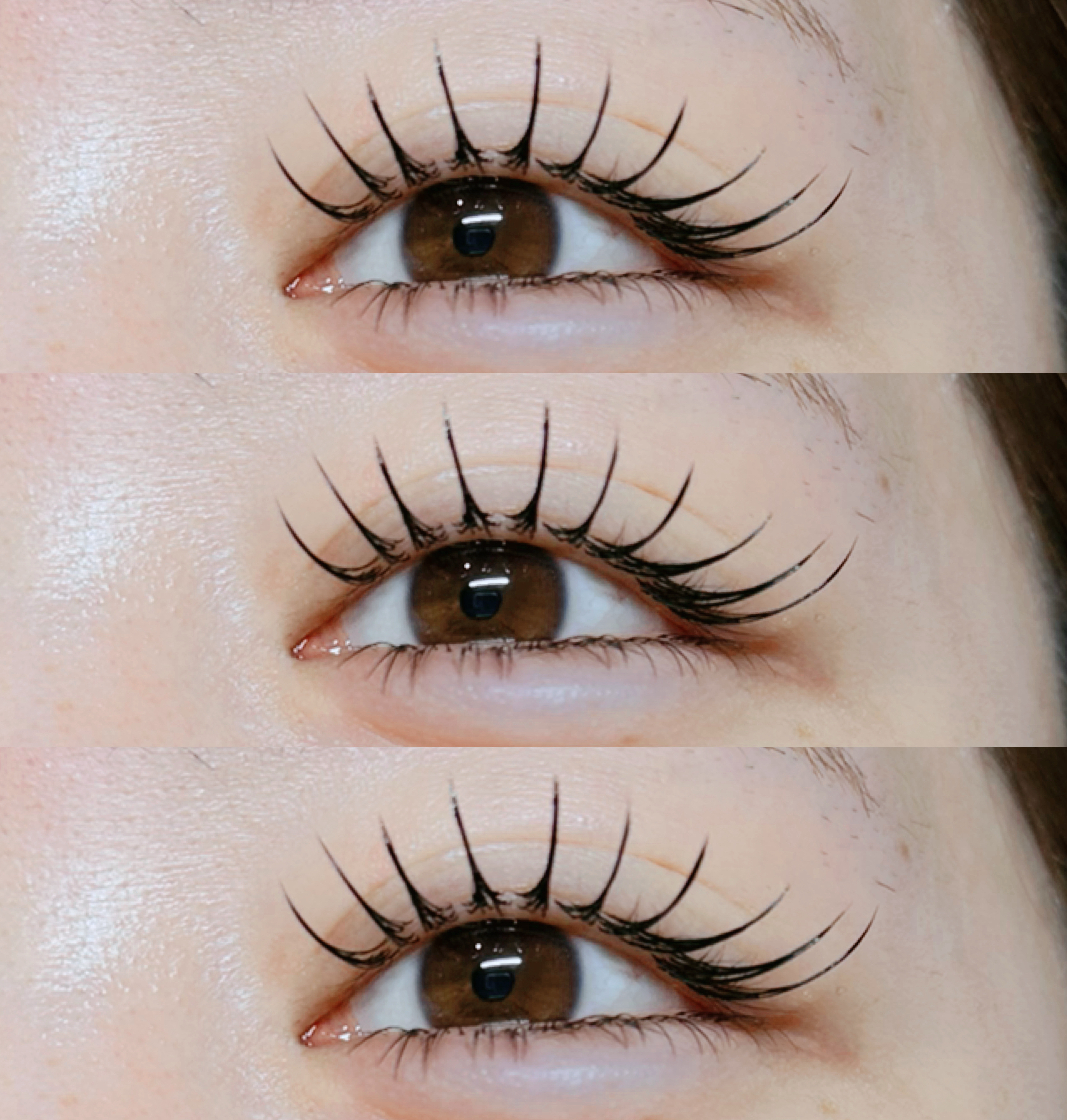 eye_rina