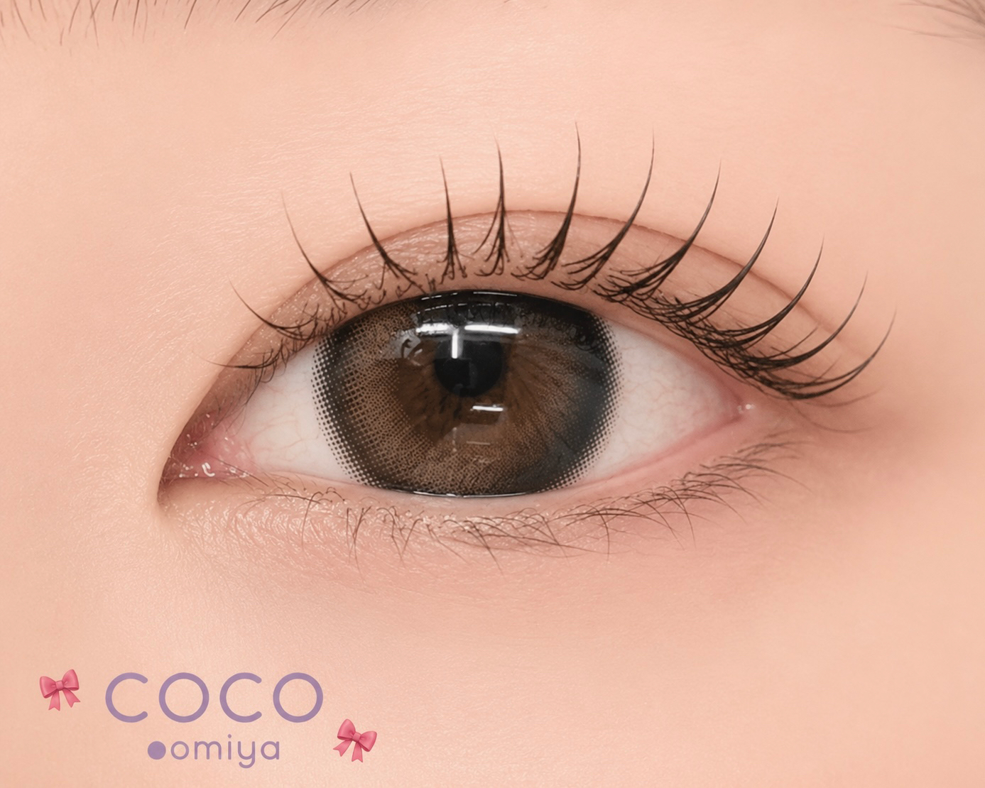 coco_shizuku