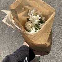 im_mina
