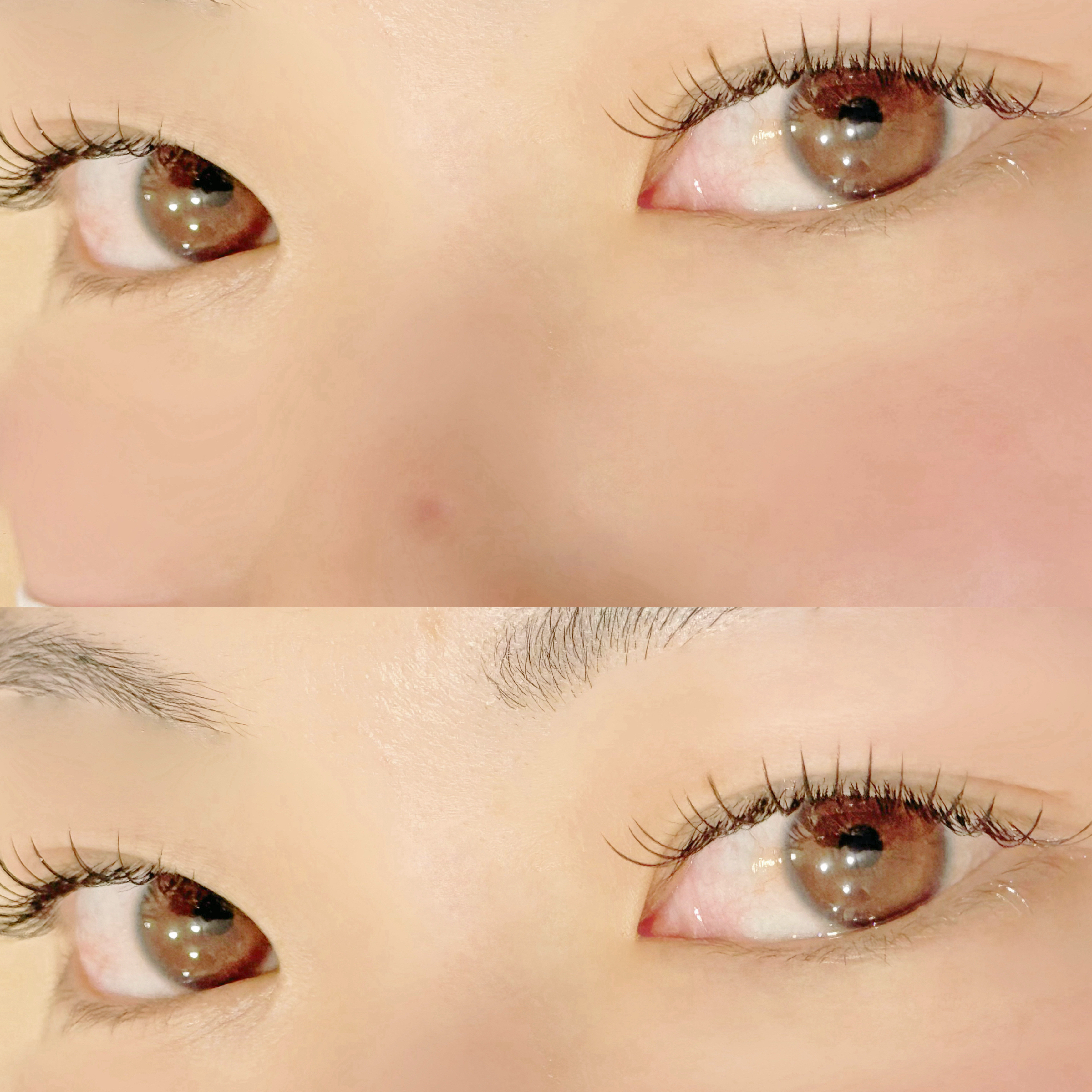 mapuia_niitsu