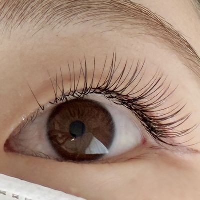 フラットラッシュ80本