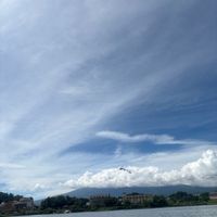hhinaa0121067