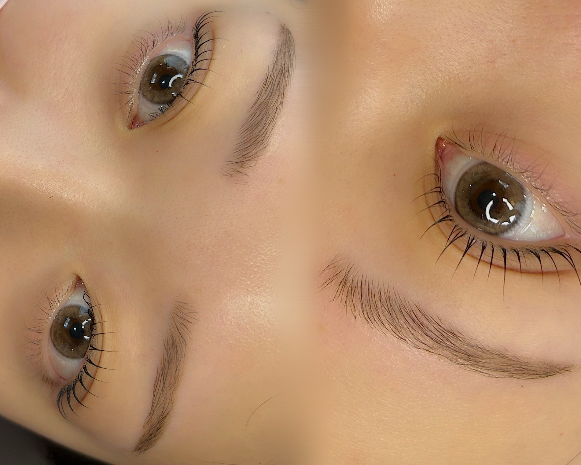 eyelash_eyebrow_desiree.