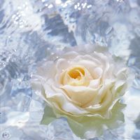 momo_f_dne863