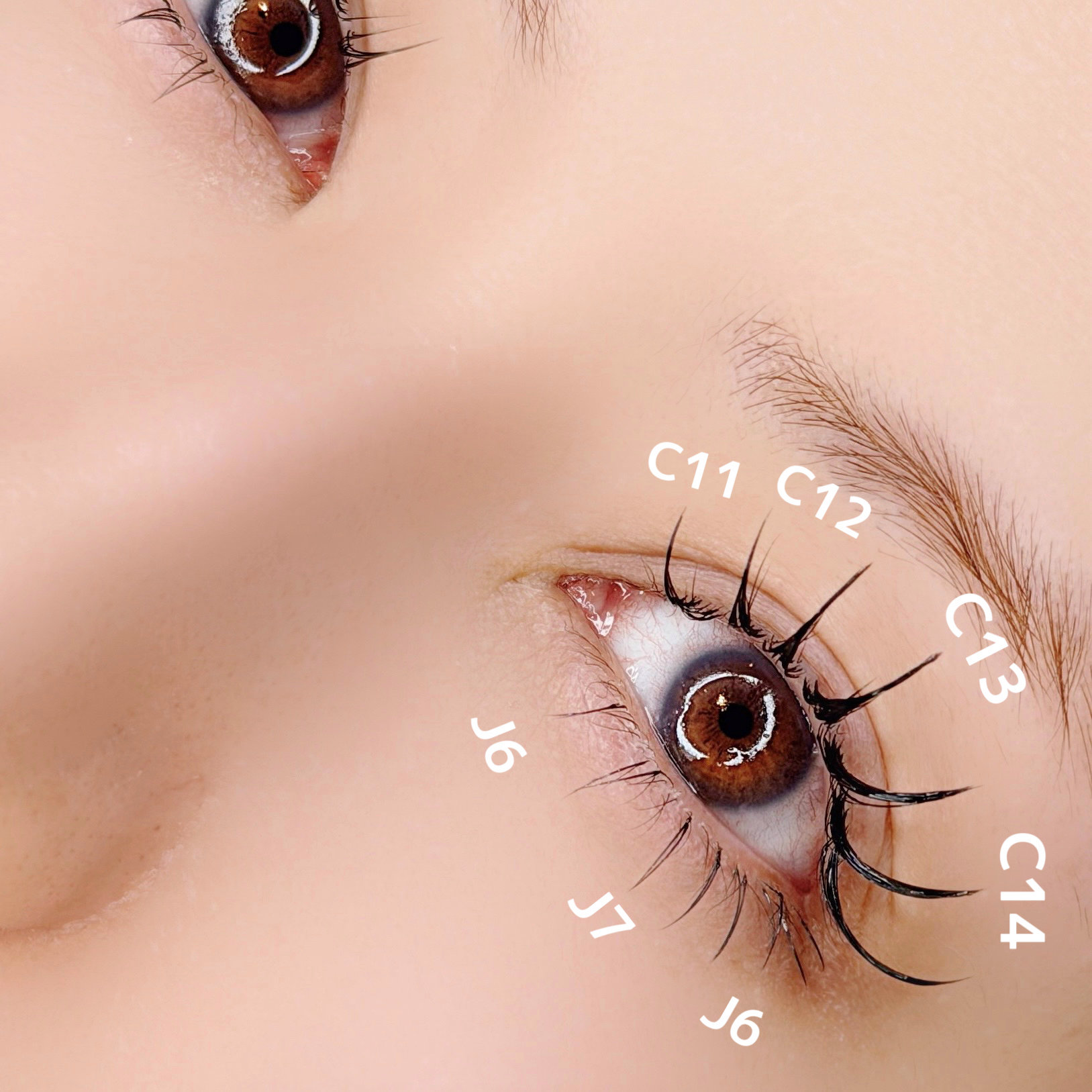 LeCheriss.eye