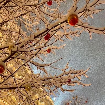 自店オフのみ