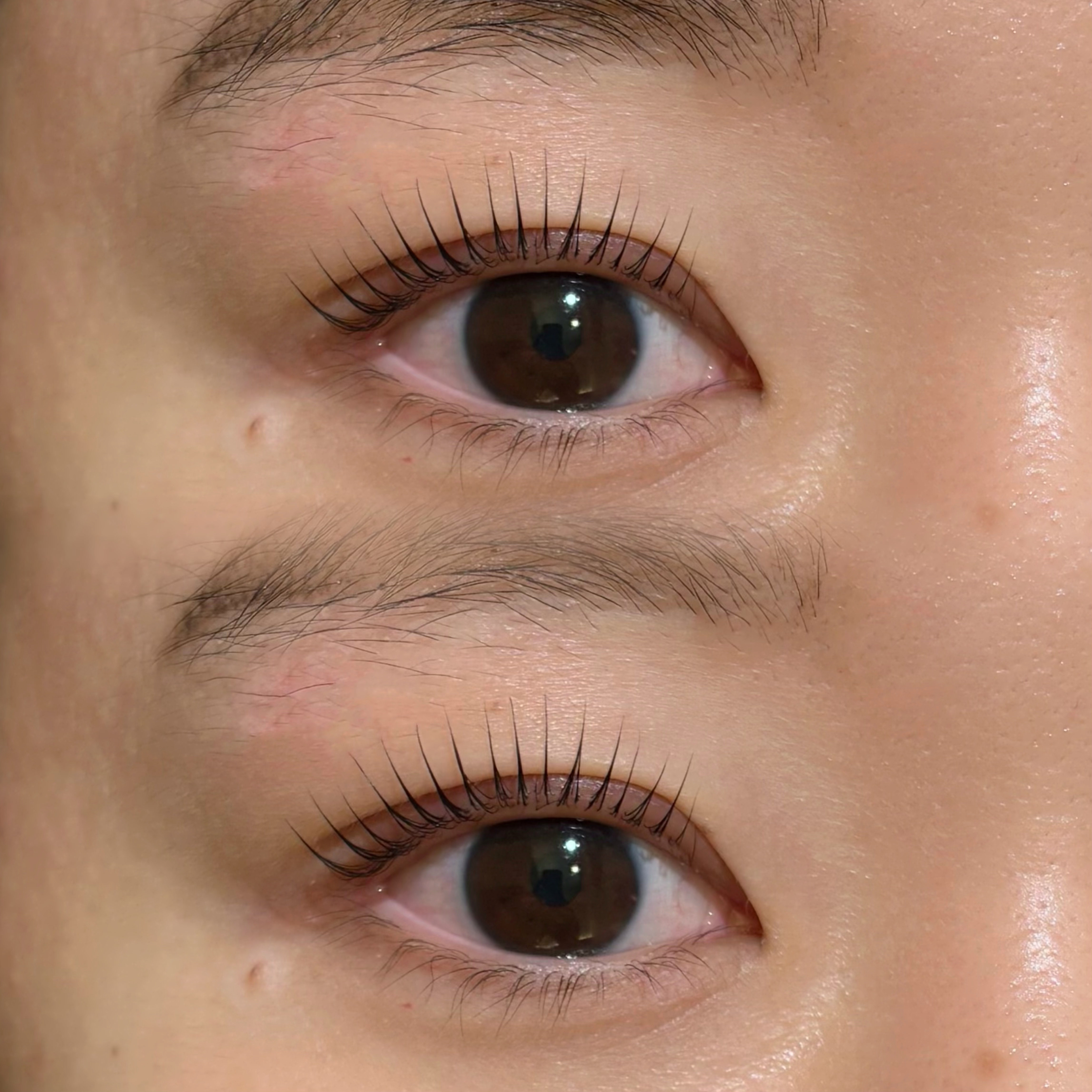 eyelash.suzuna