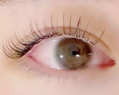 《初めての方×モチ濃さUP◎》ダブルフラットラッシュ80束（160本）🌻🌻