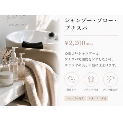     シャンプー・ブロー・プチスパ