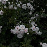 wa__03