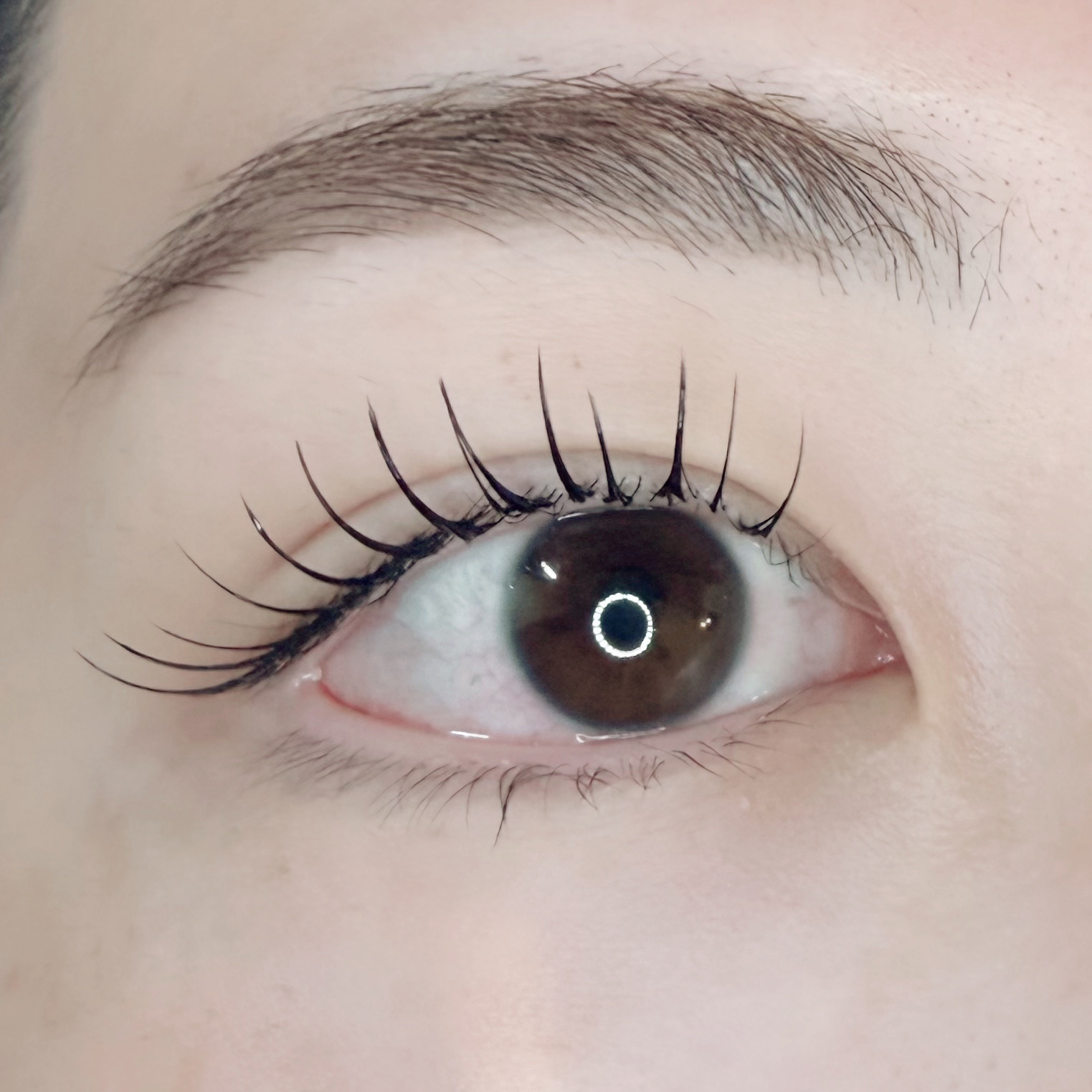eyelash_kao