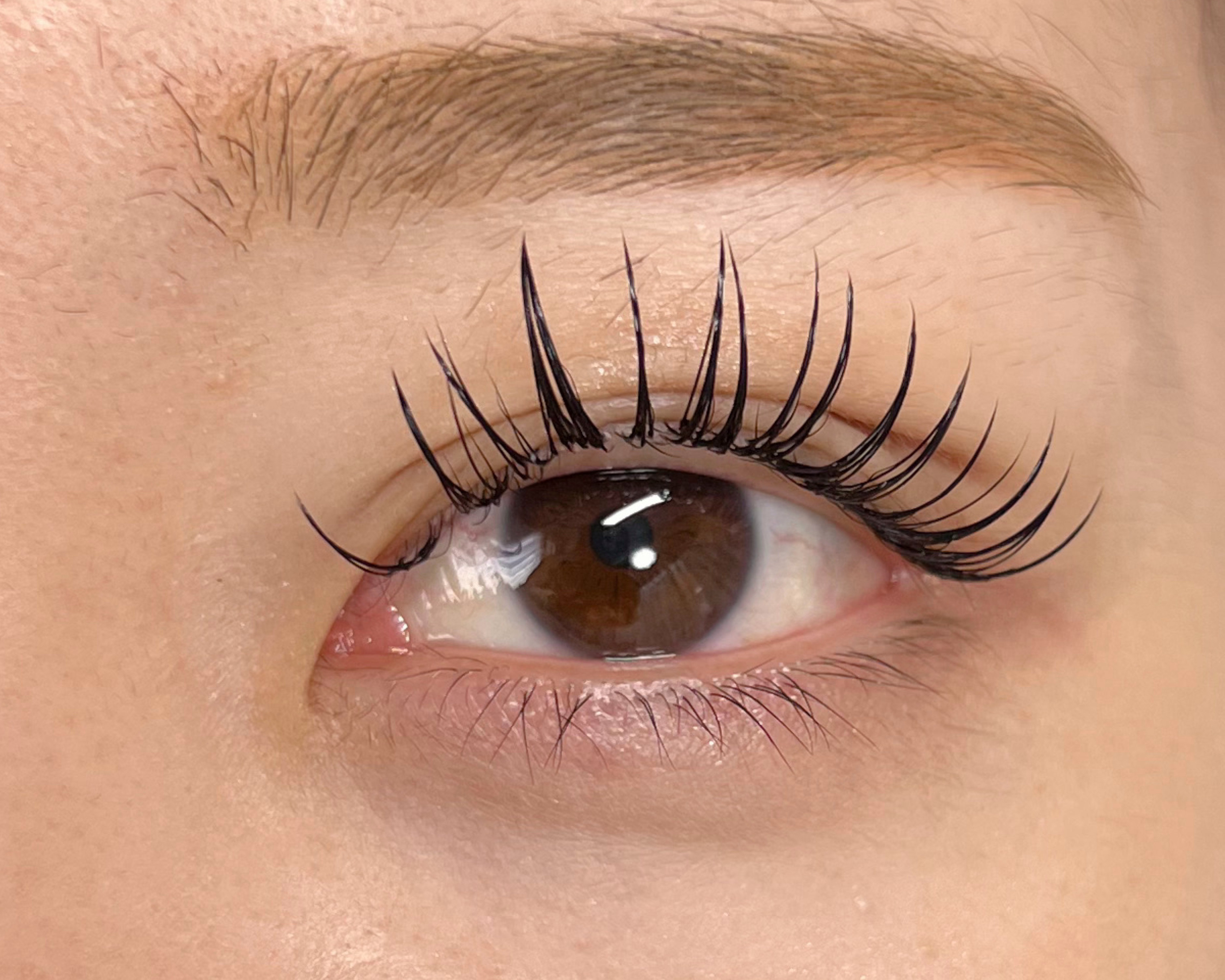 eyelash_eyebrows.funa2