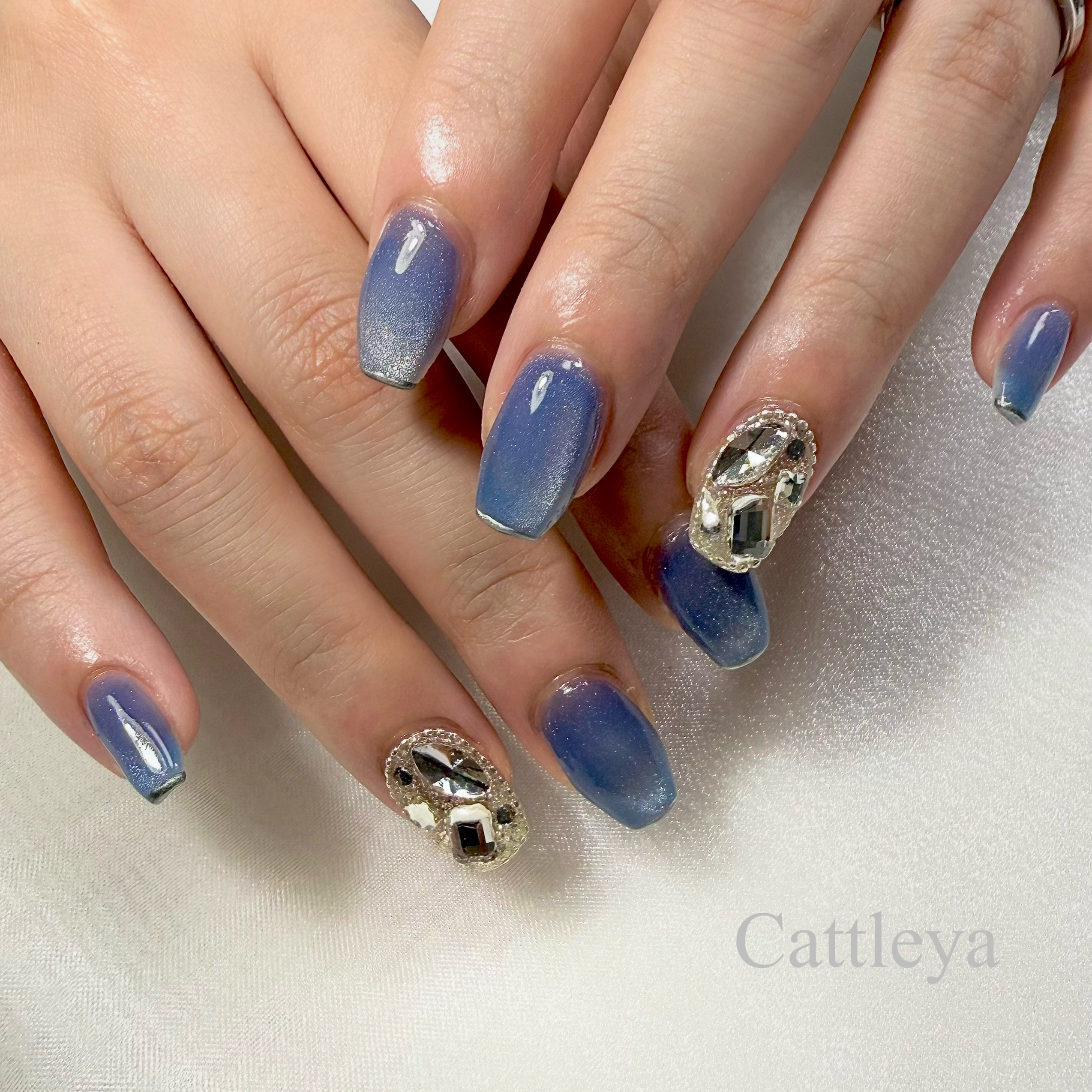 _Cattleya_