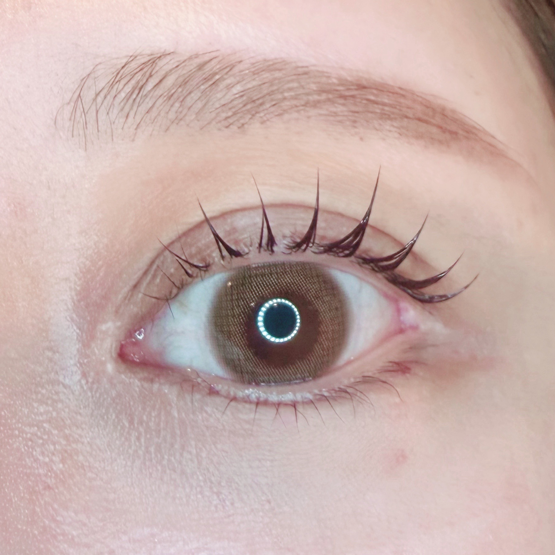 eyelash_kao