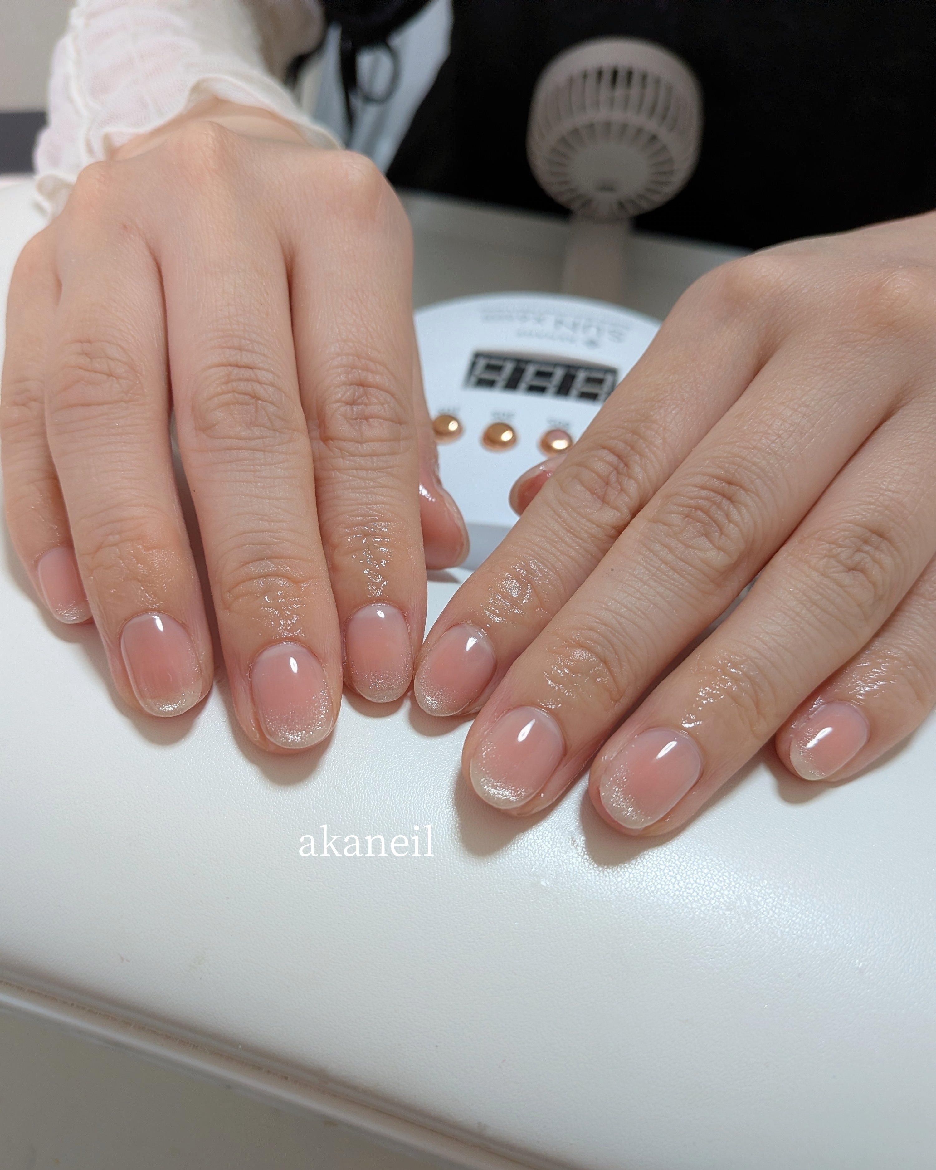 akaneils