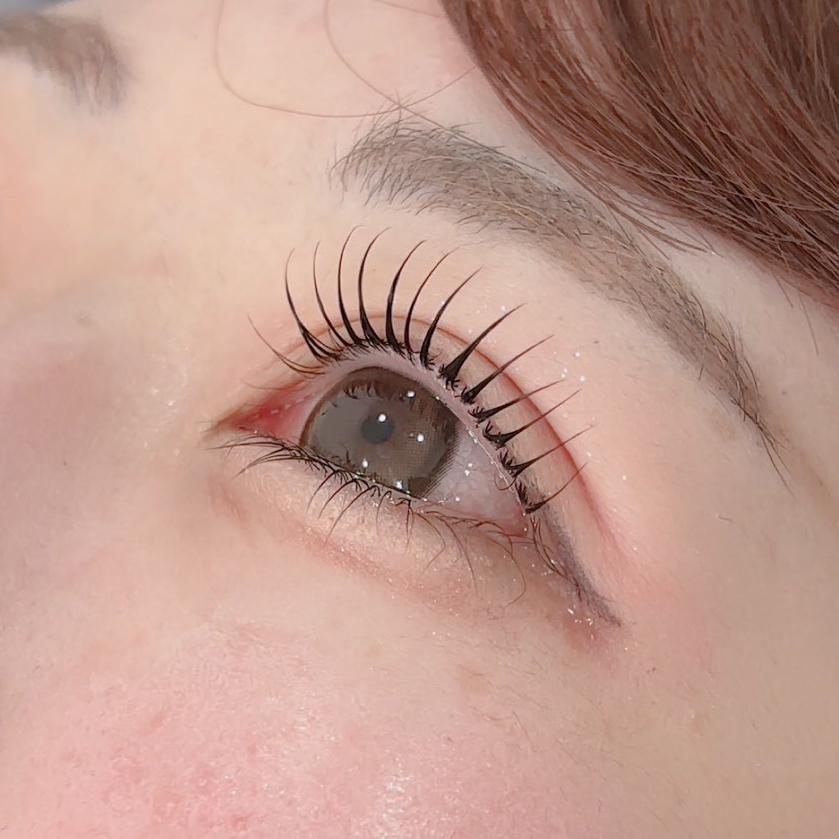eclatbrow_daihawa