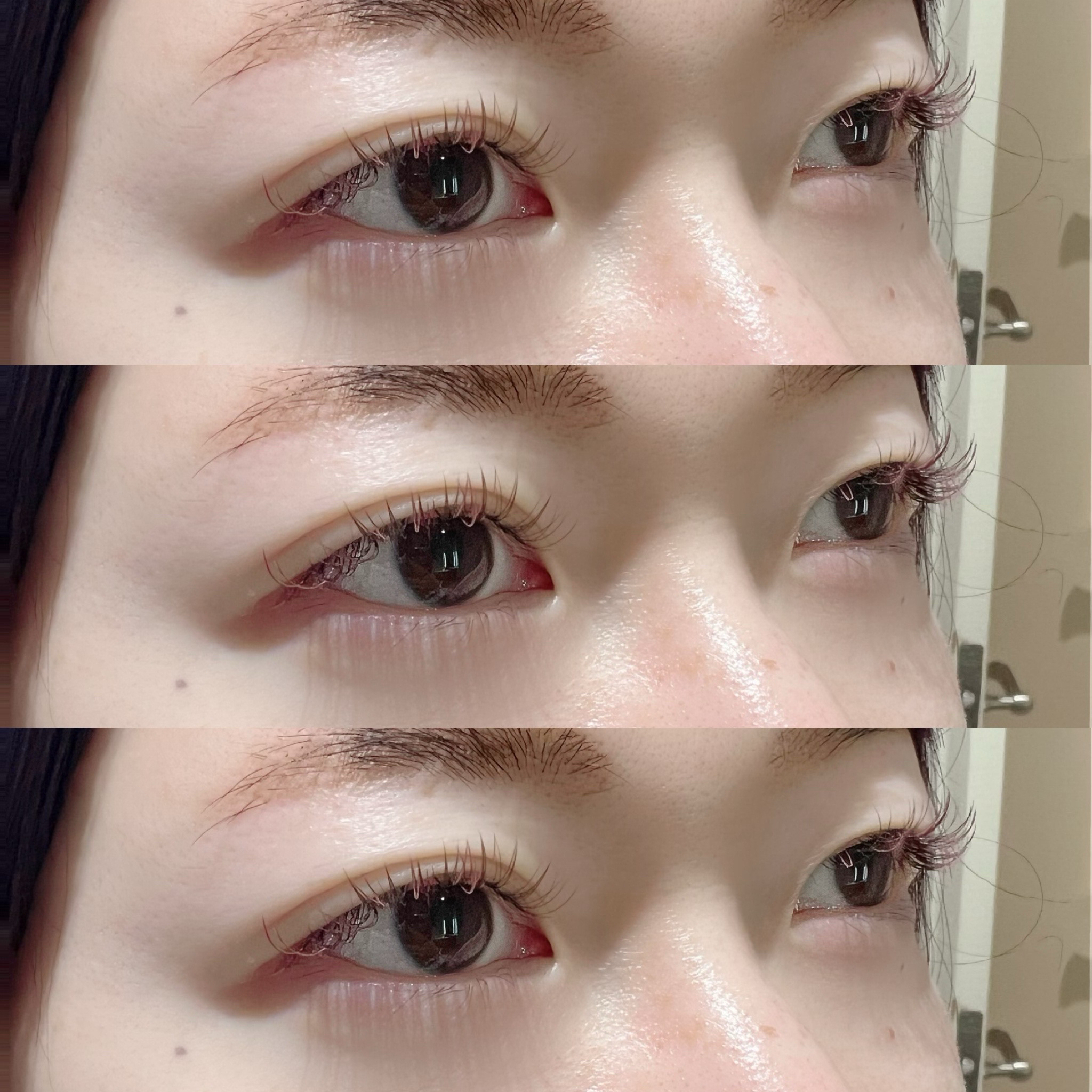 Nemophila.eye