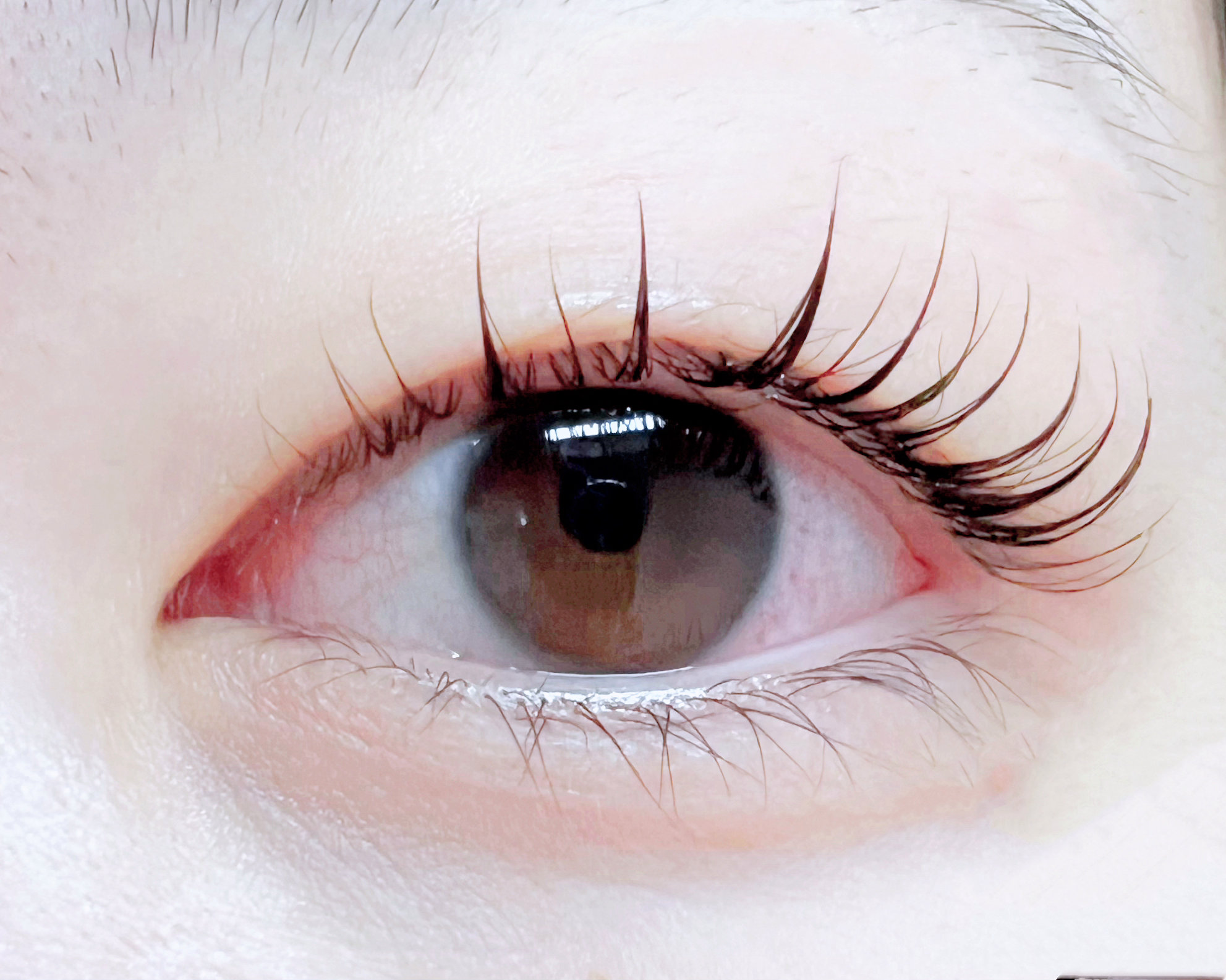 Nel_miwa401