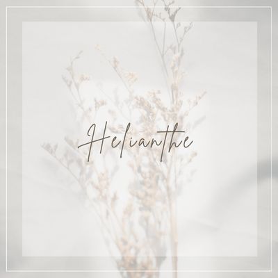 【期間限定】チップ長さだし10本¥5500→¥3300