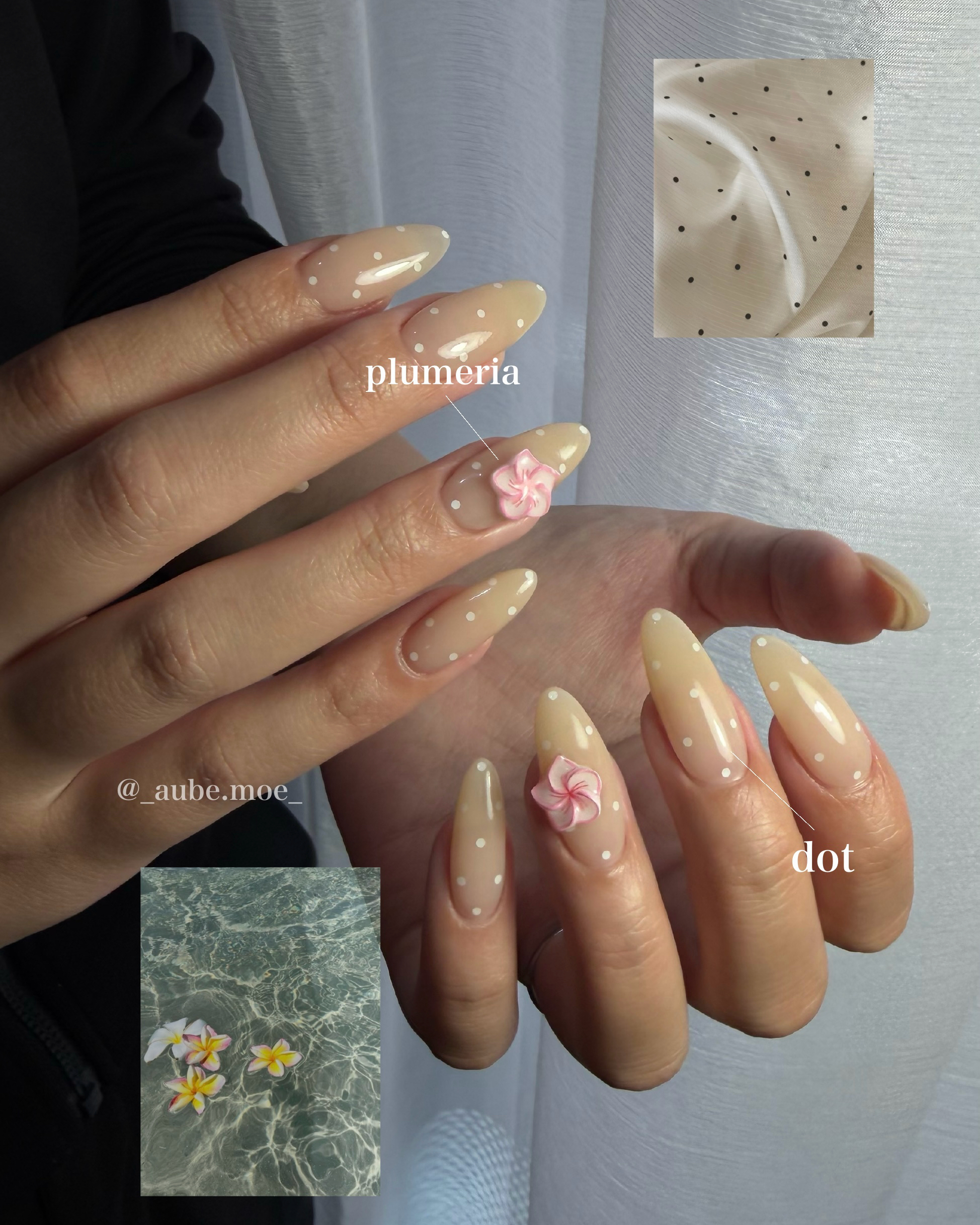 _Aube._moe_