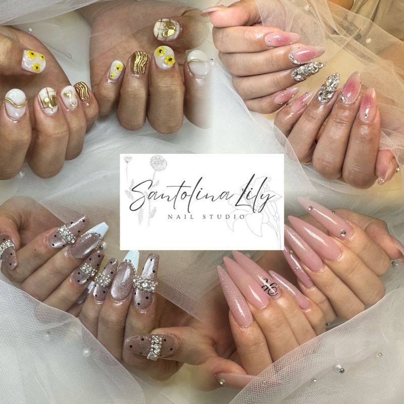 Santolina_Lily