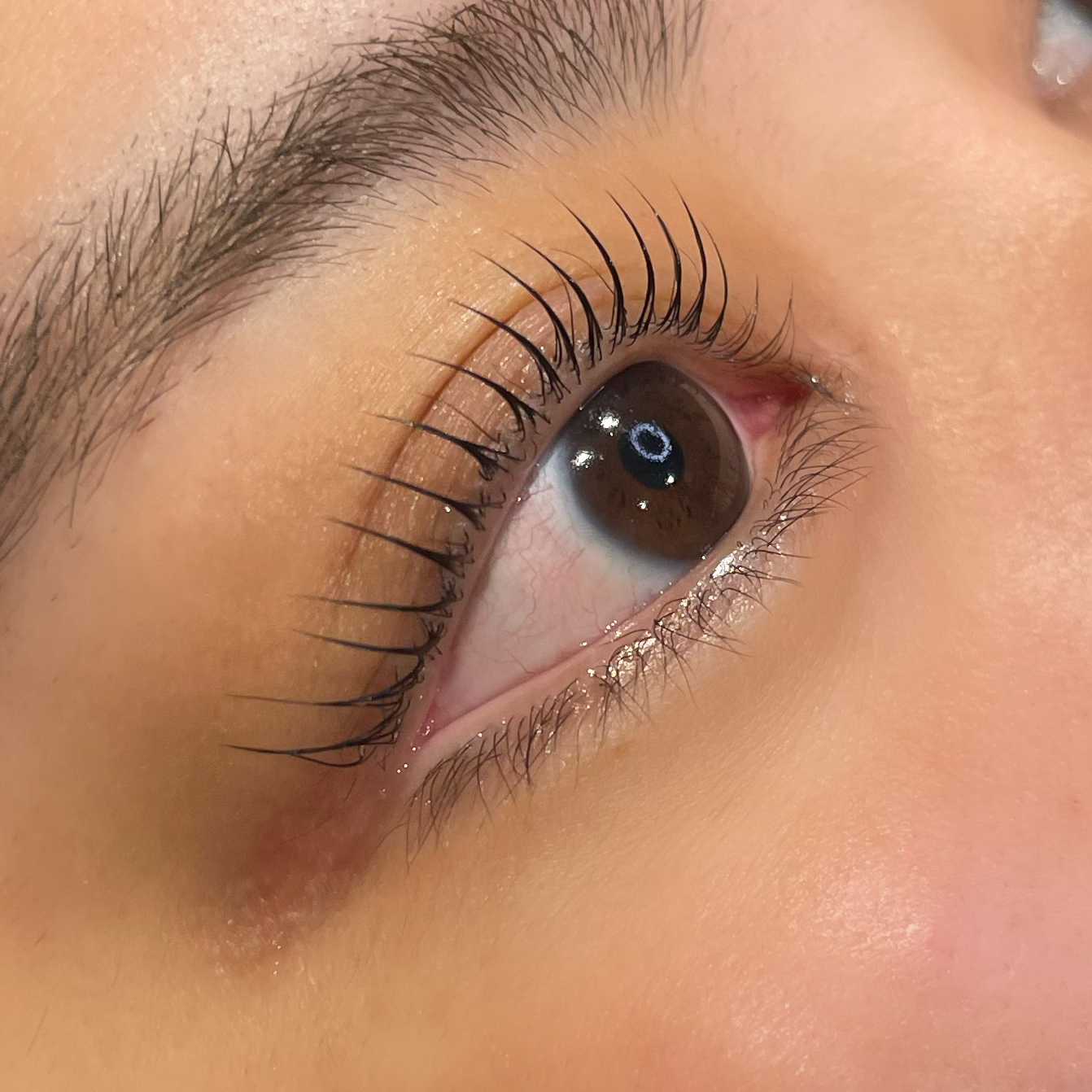 Voir.eyesalon