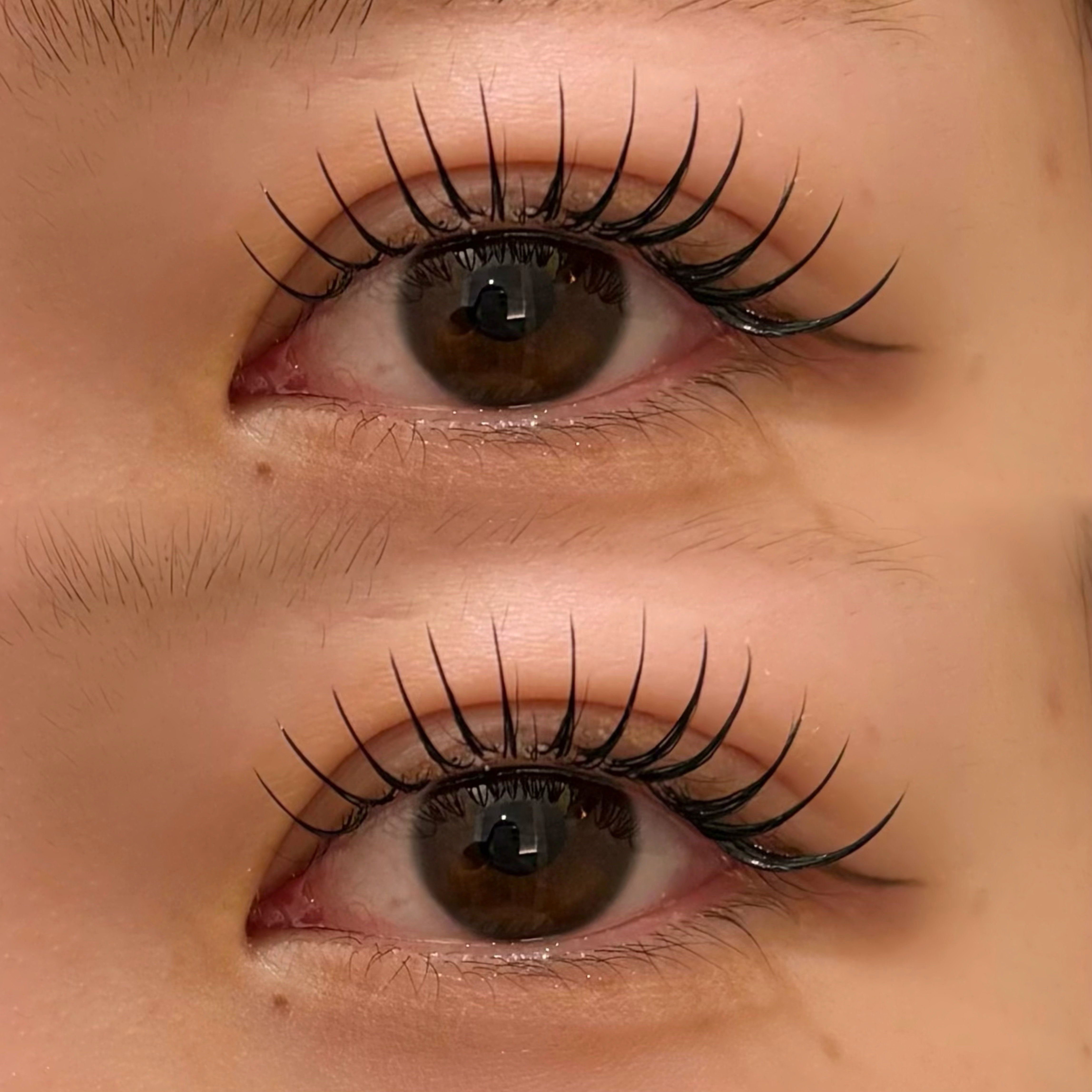 eyelash.suzuna