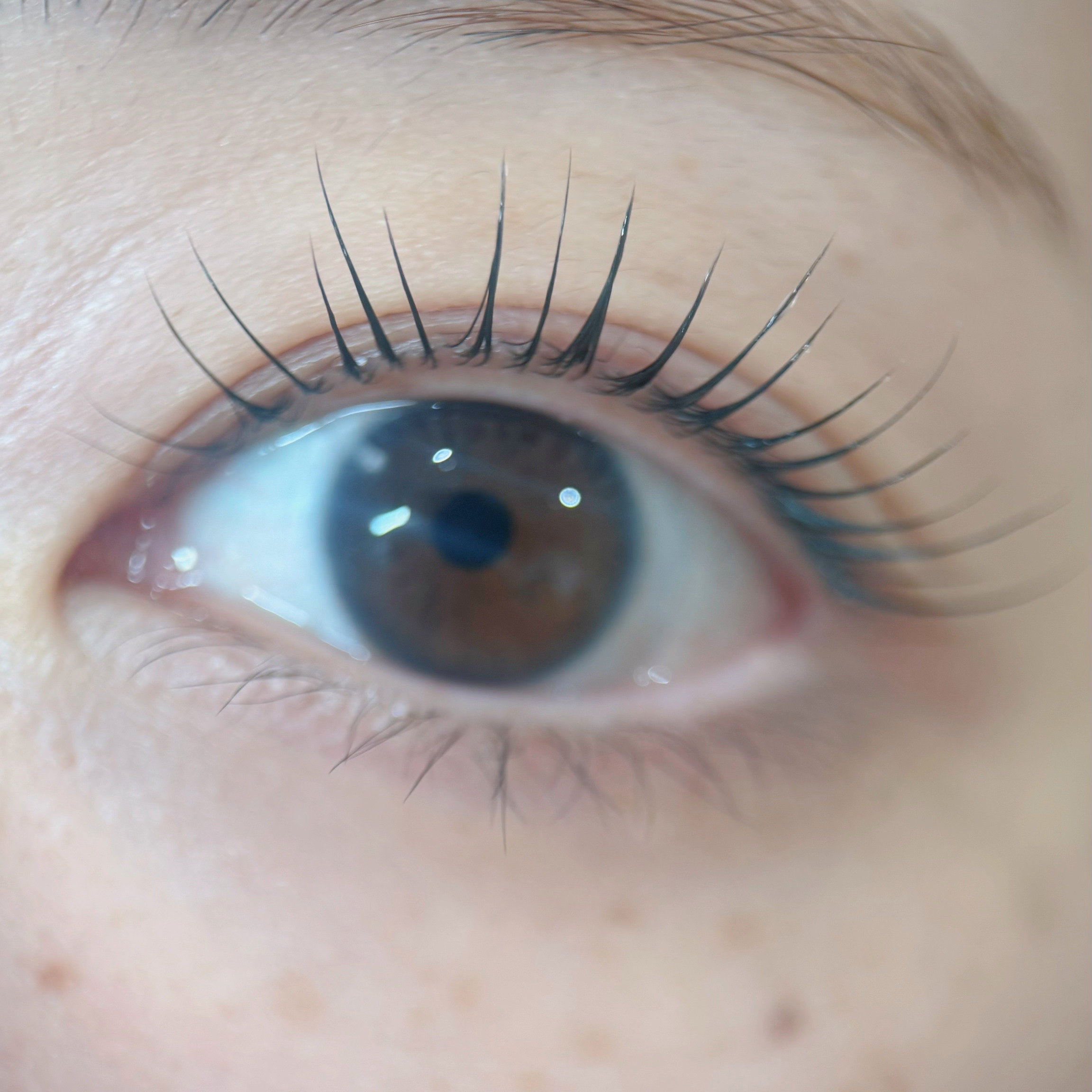 natari_.lash