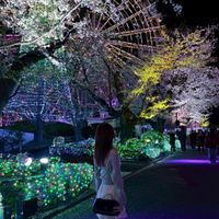 rina1727