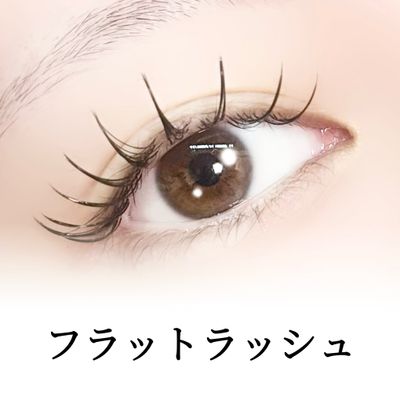 フラットラッシュ120本