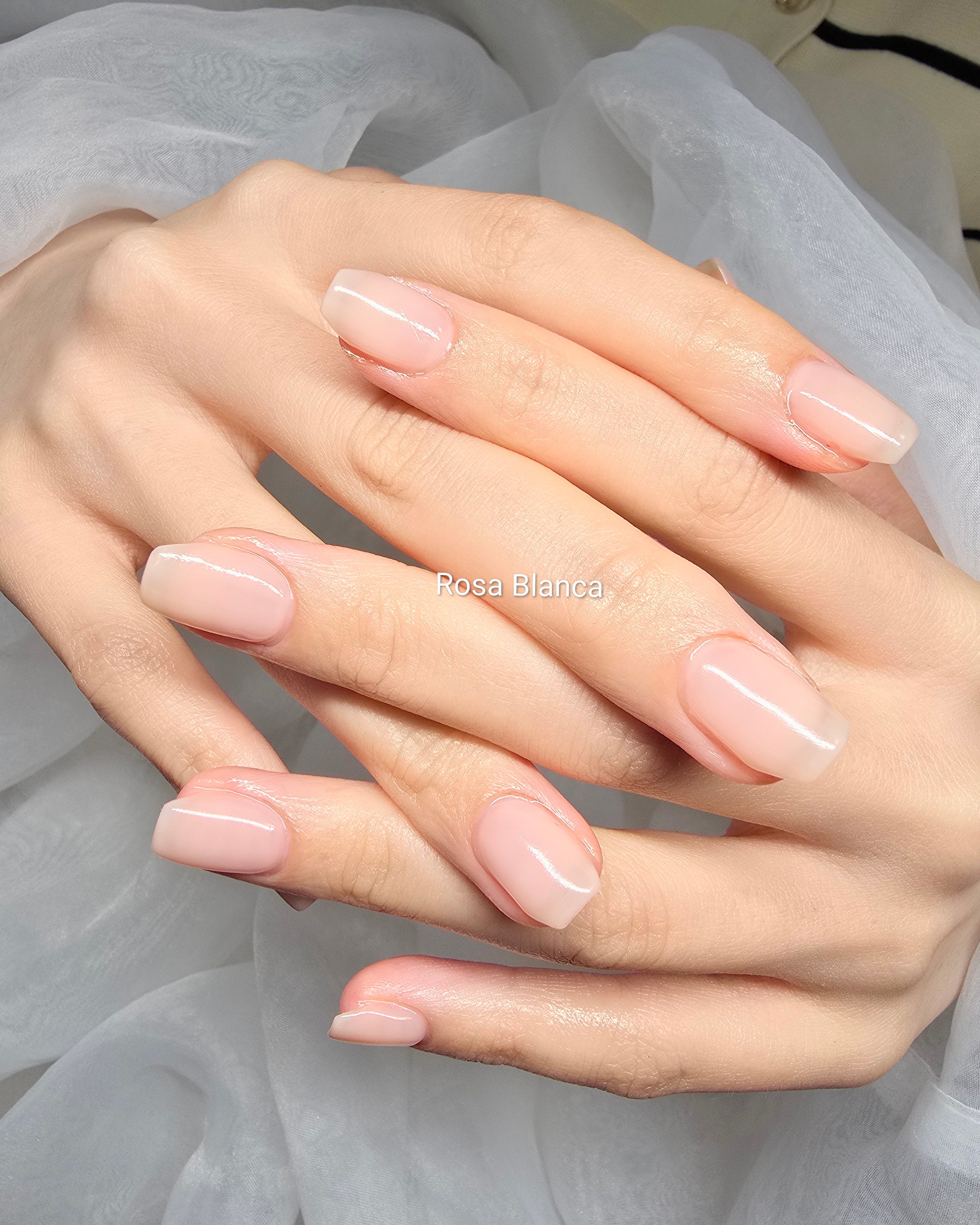 Rosa_Blanca