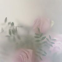 aimee__eye