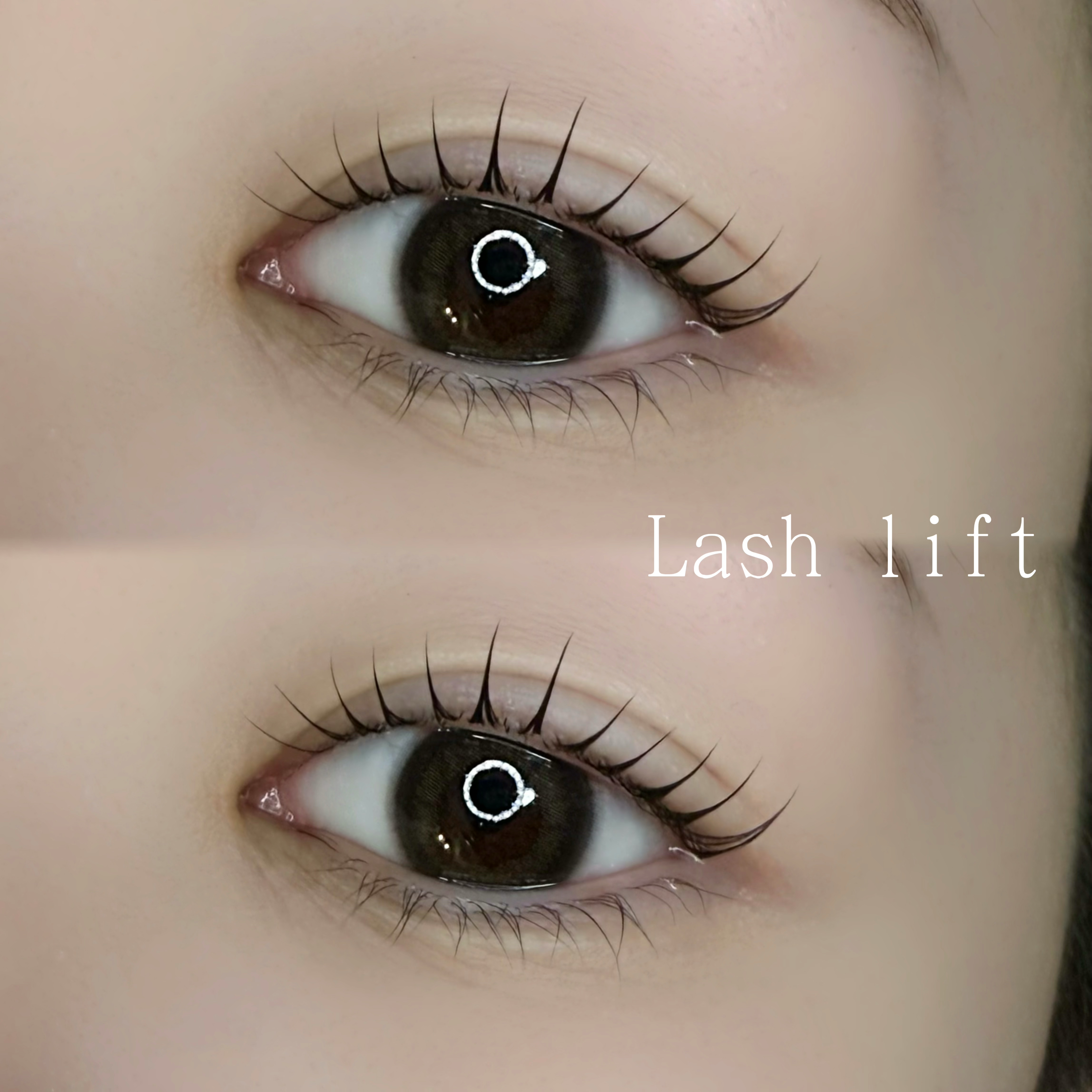 IKUST_shiho