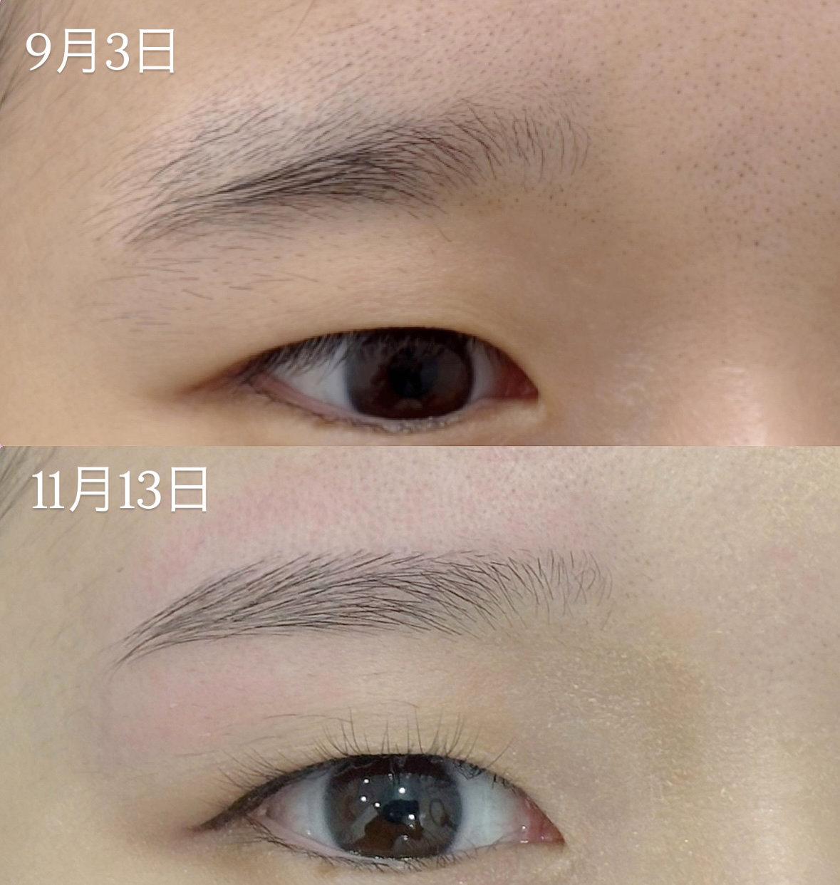 shizuka_kondo_