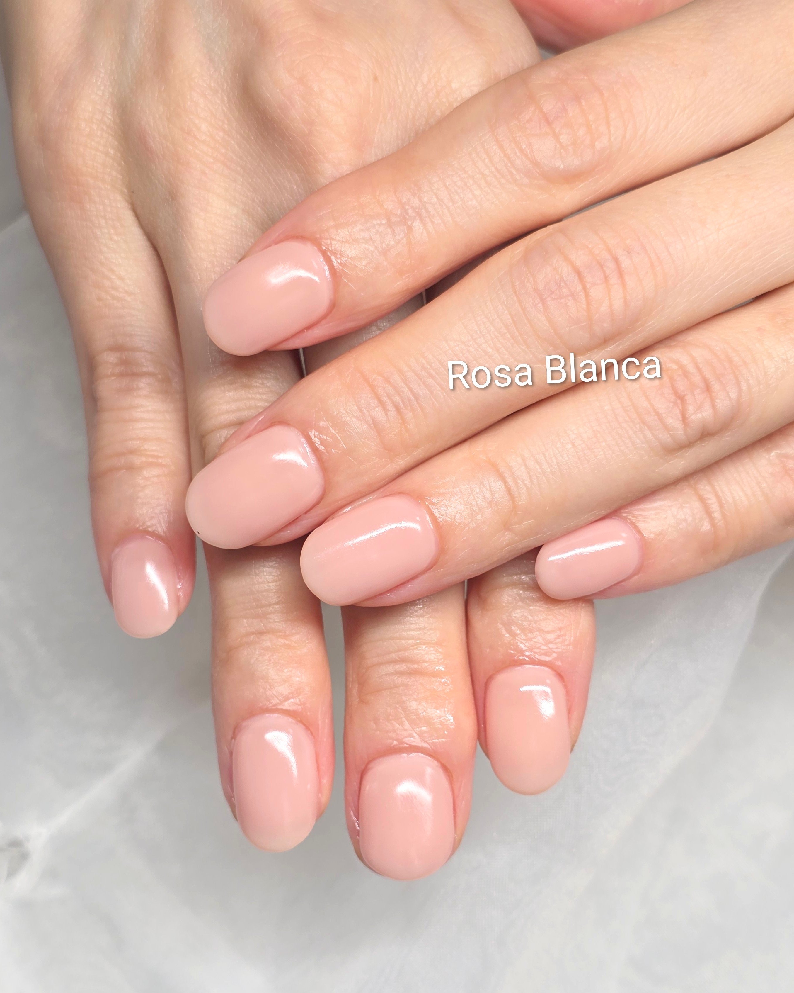 Rosa_Blanca
