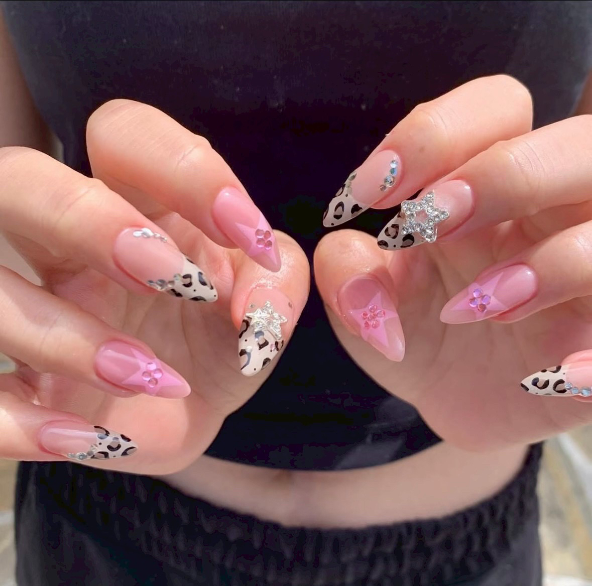 Anh_Sanie