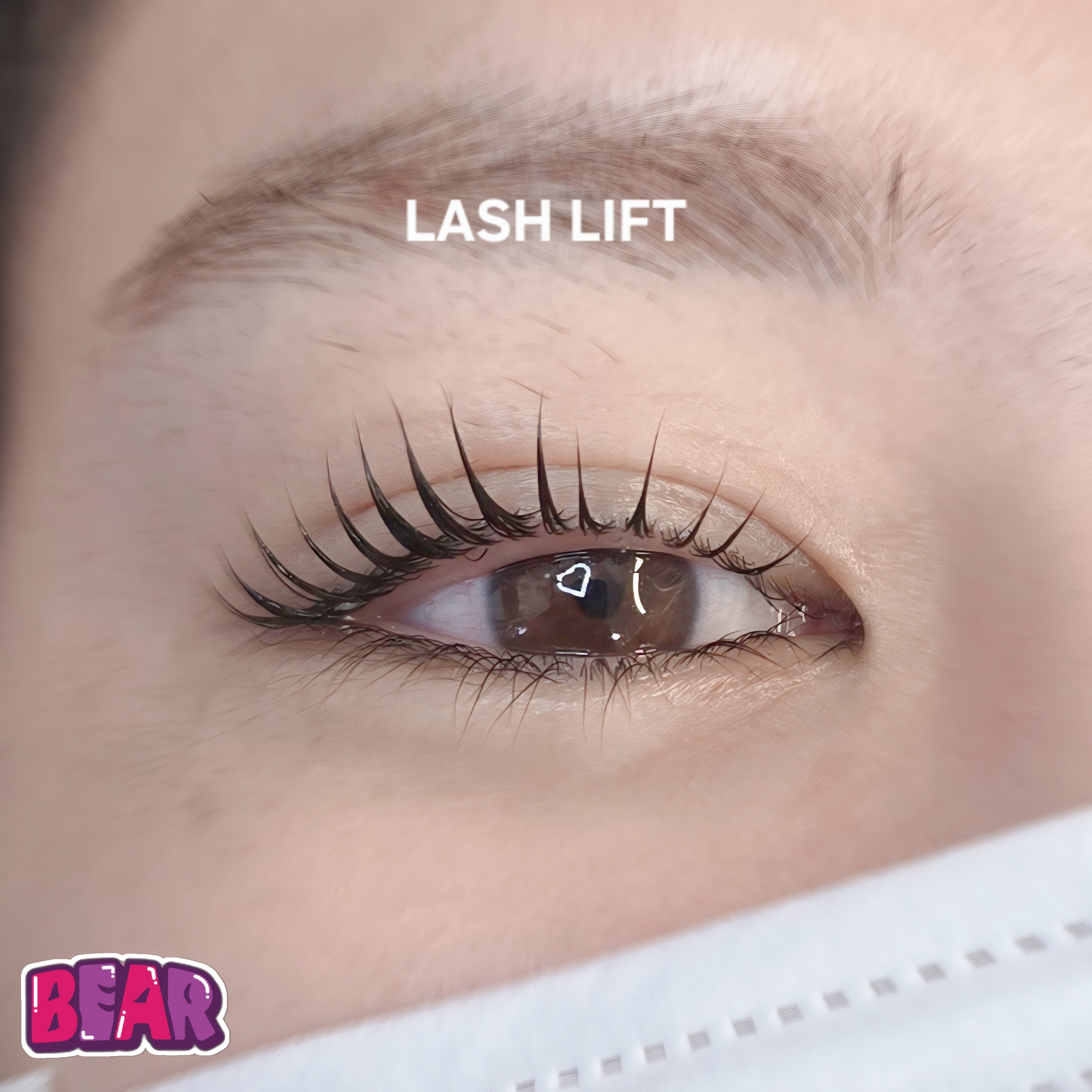 bear._.eyelash