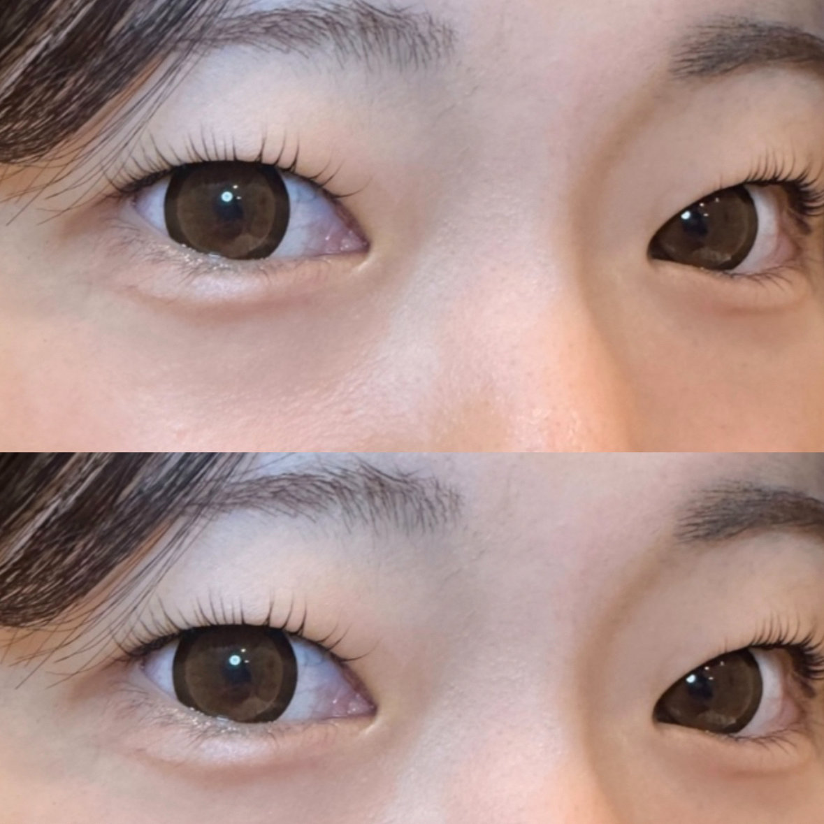 aoi_mukeye