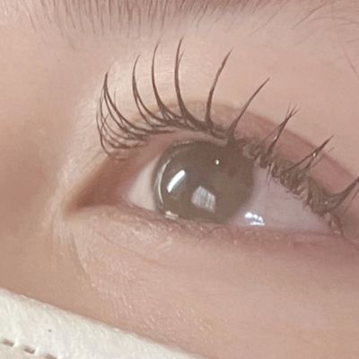まつ毛エクステつけ放題