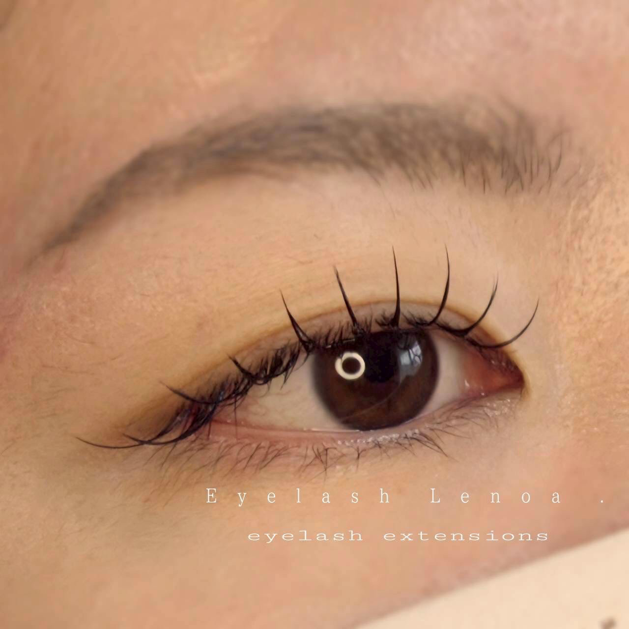 lenoa_eyelash