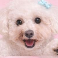beautysalonmilk